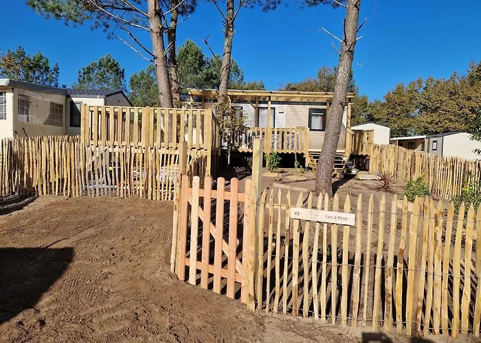 Les 4 Pins D - Confort 6 Pers Piscine Holiday home *